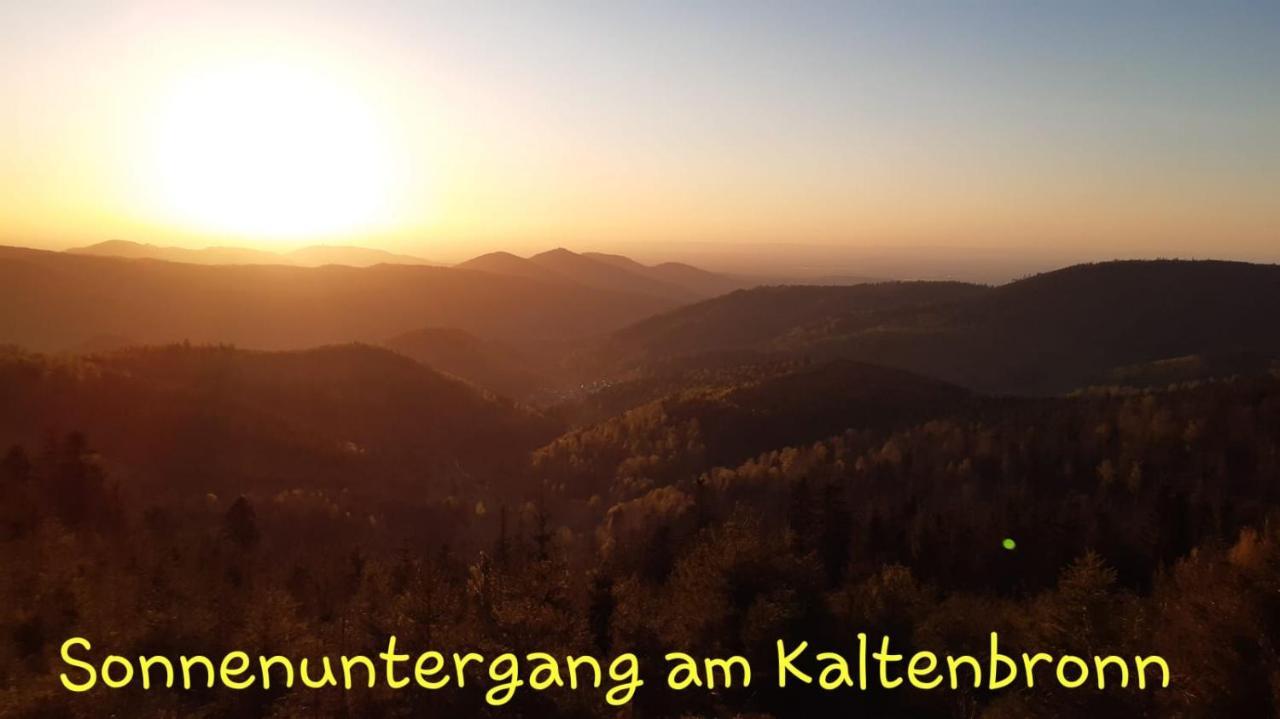 Apartement am Waldrand Bad Wildbad Buitenkant foto