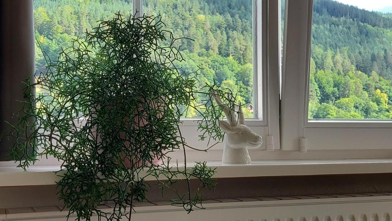 Apartement am Waldrand Bad Wildbad Buitenkant foto